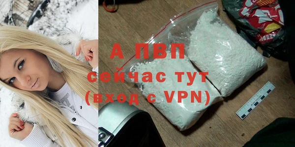 индика Ханты-Мансийск