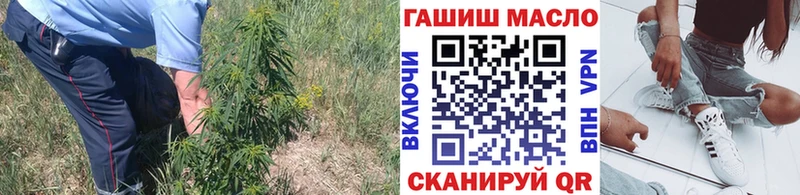 ТГК THC oil  Купить закладки  Каневская 